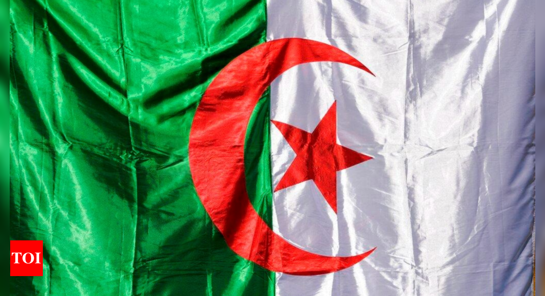 UN expert slams Algeria’s ‘criminalisation’ of rights activists